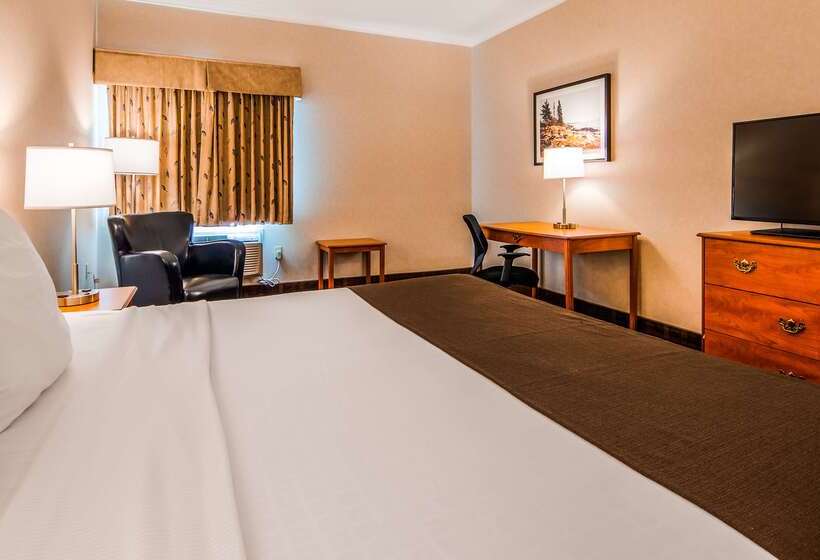 فندق Best Western Thunder Bay Crossroads
