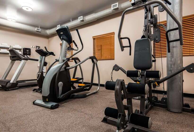 فندق Best Western Thunder Bay Crossroads