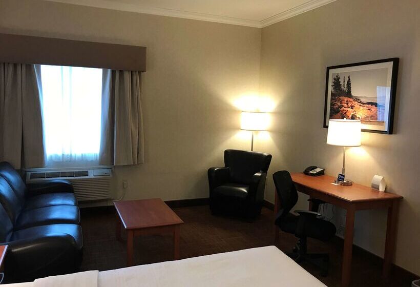 فندق Best Western Thunder Bay Crossroads