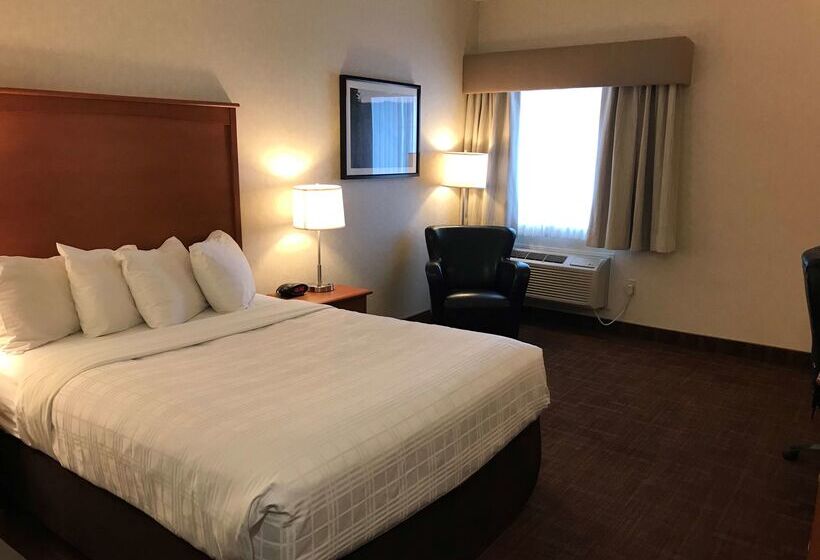 فندق Best Western Thunder Bay Crossroads