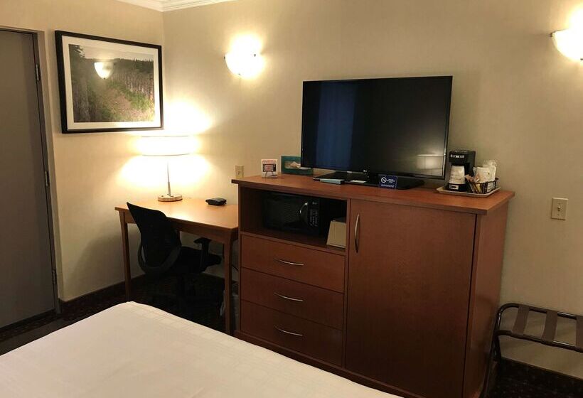 فندق Best Western Thunder Bay Crossroads