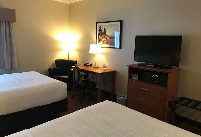 فندق Best Western Thunder Bay Crossroads
