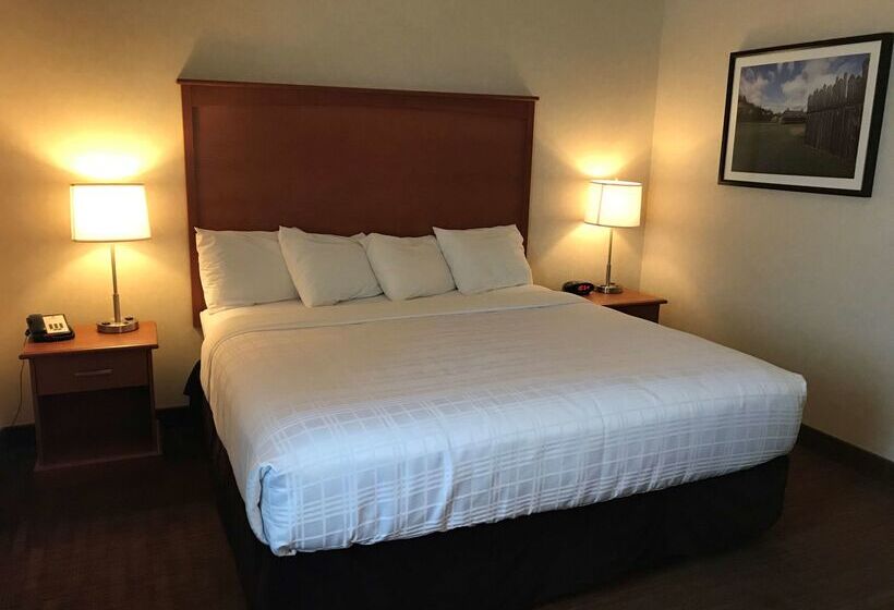فندق Best Western Thunder Bay Crossroads