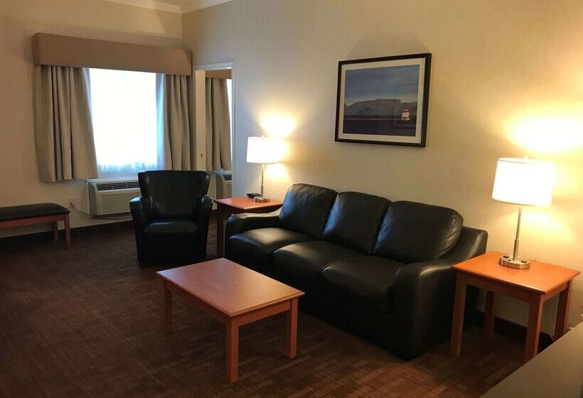 فندق Best Western Thunder Bay Crossroads