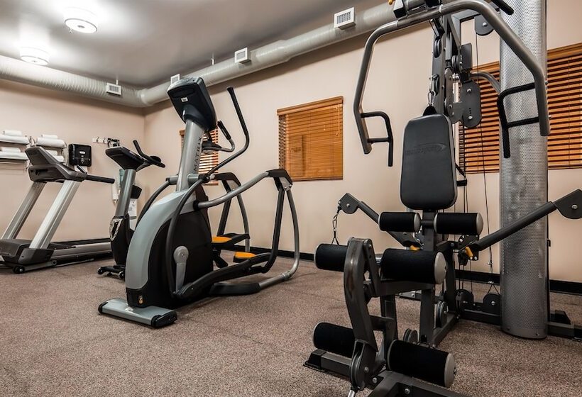 فندق Best Western Thunder Bay Crossroads