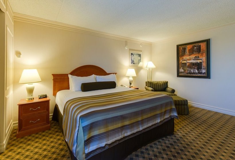 فندق Black Knight Inn