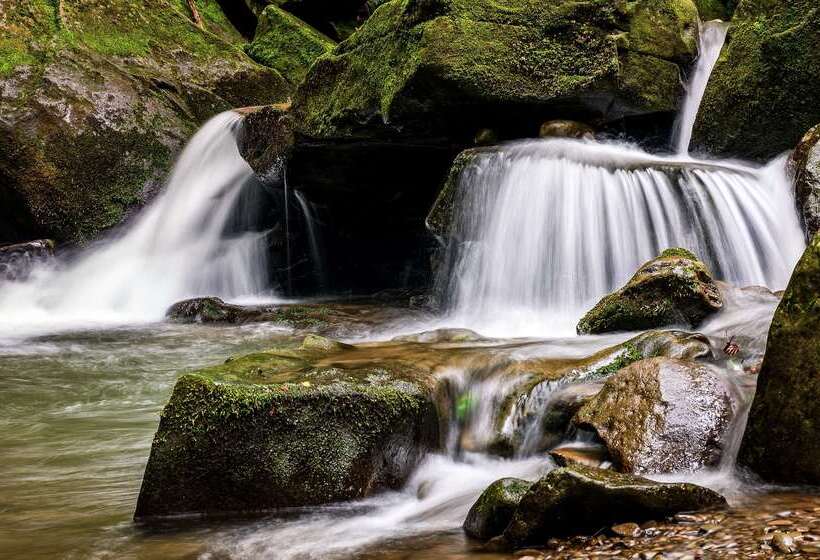 فندق Bristol Relais Du Silence Superior