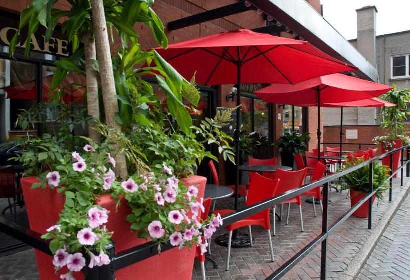 호텔 Cartier Place Suite