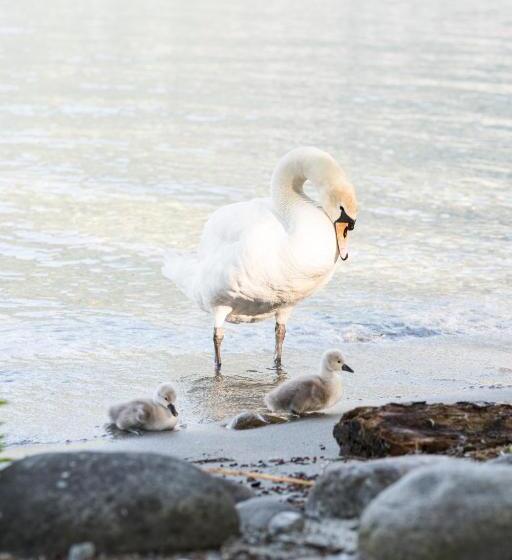 호텔 Castello Del Sole Beach Resort&spa