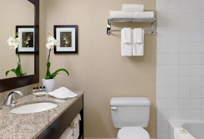 Chelsea Hotel Toronto