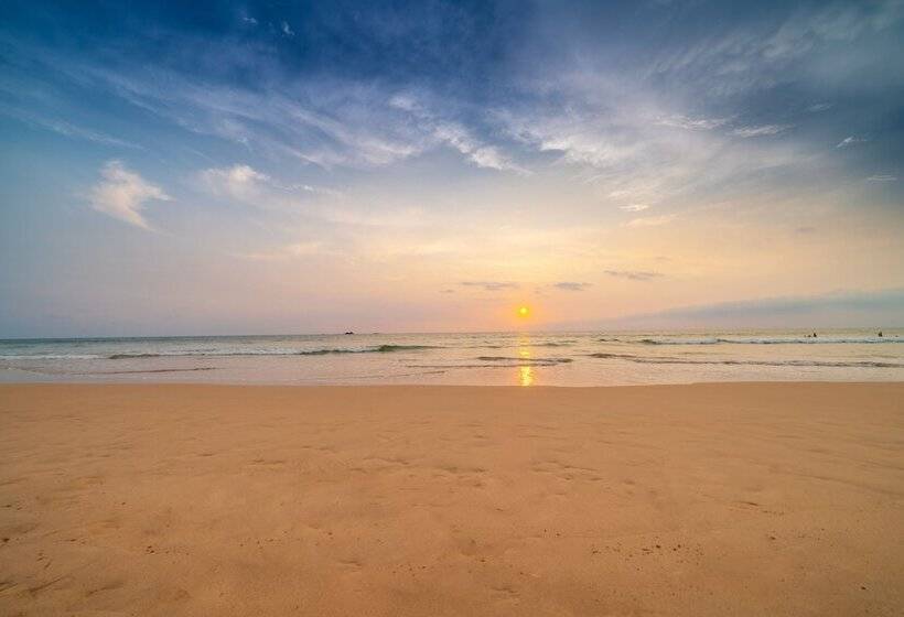 酒店 Cinnamon Bentota Beach Signature Selection