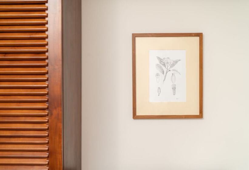 酒店 Cinnamon Bentota Beach Signature Selection