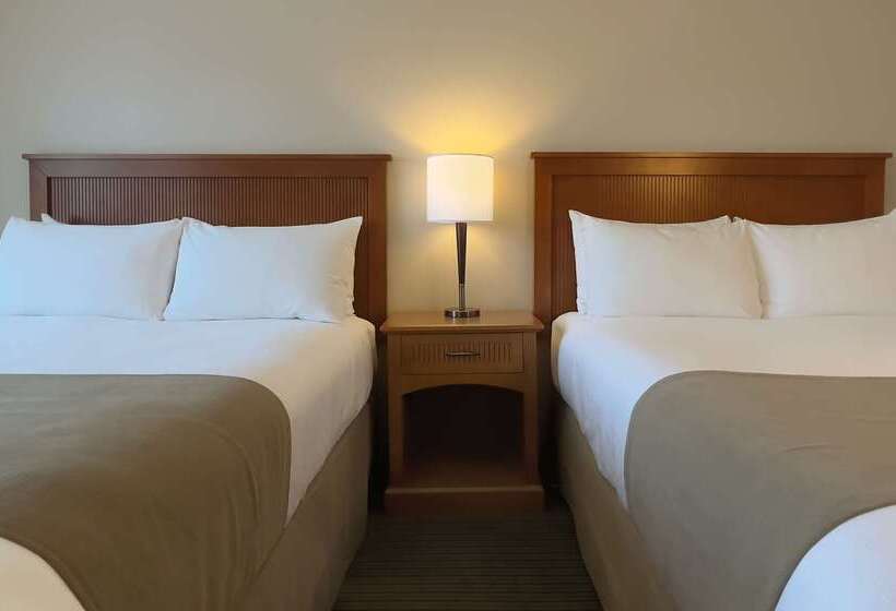 ホテル Coast Capri