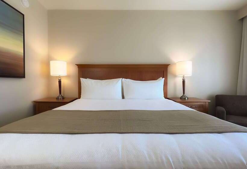 ホテル Coast Capri