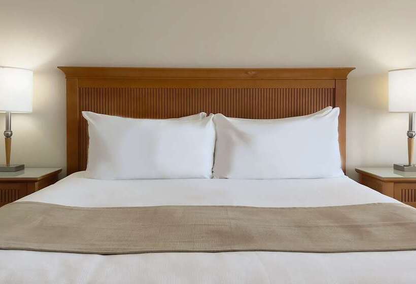 ホテル Coast Capri