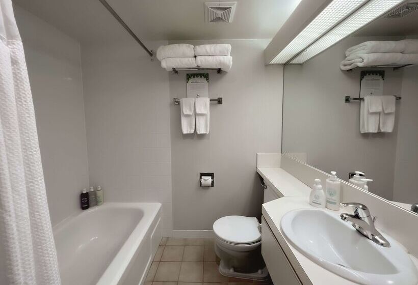 ホテル Coast Capri