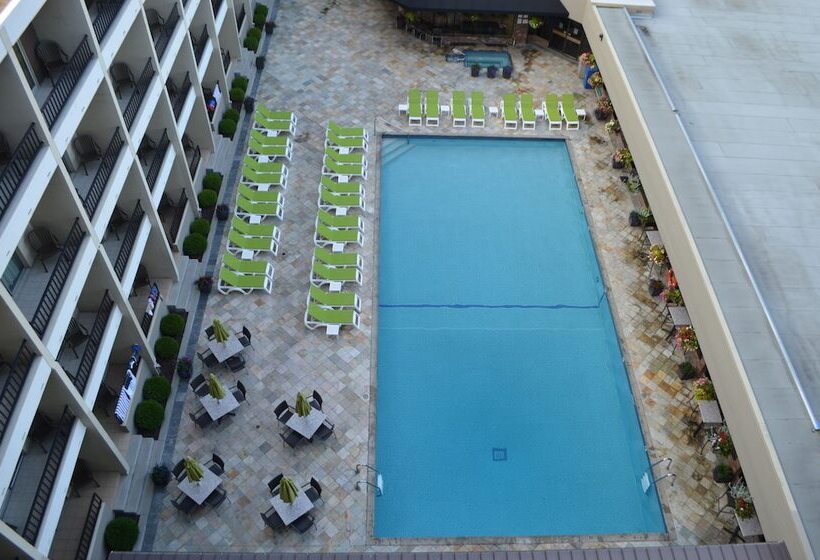 ホテル Coast Capri