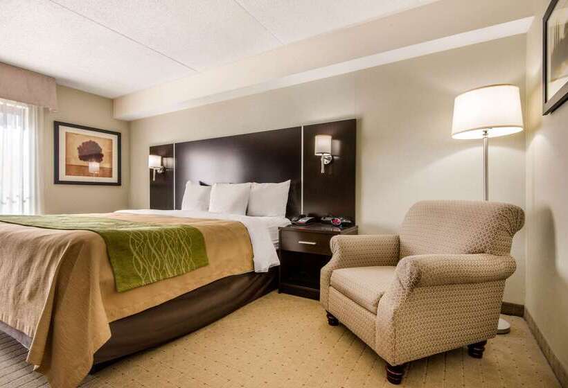 فندق Comfort Inn Airport West