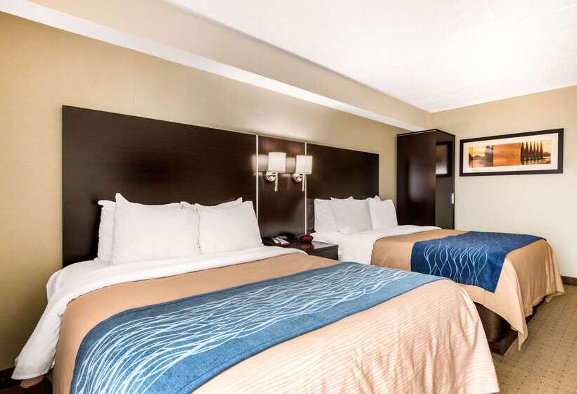 فندق Comfort Inn Airport West