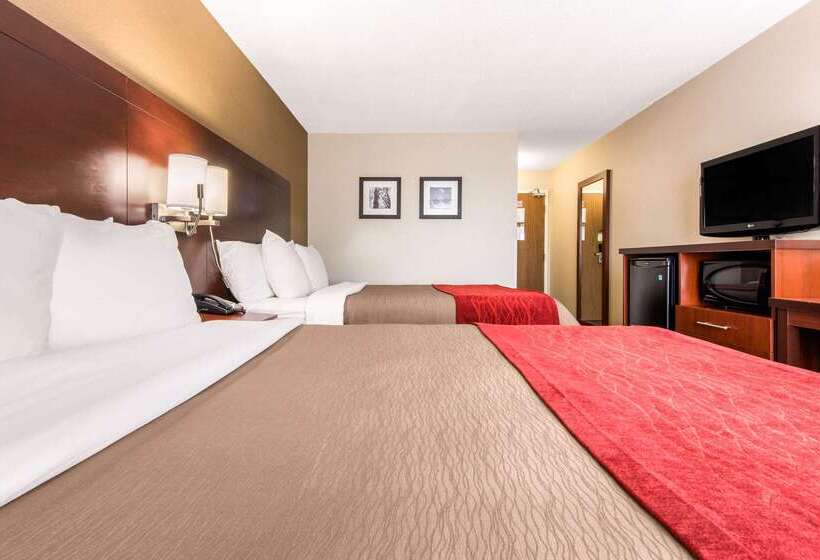 فندق Comfort Inn Airport West