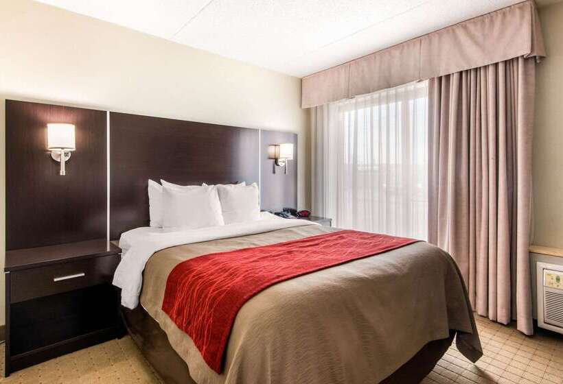 فندق Comfort Inn Airport West