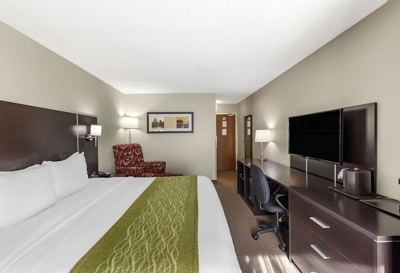 فندق Comfort Inn Airport West