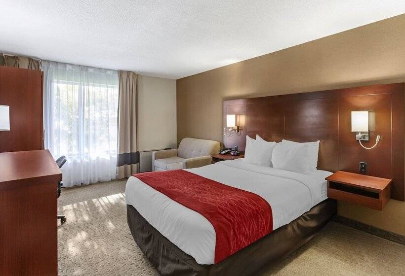 فندق Comfort Inn Airport West