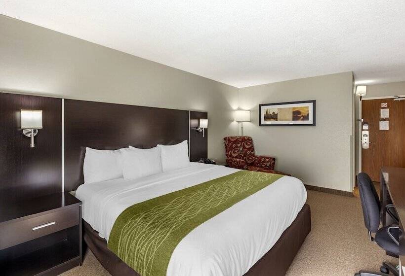 فندق Comfort Inn Airport West