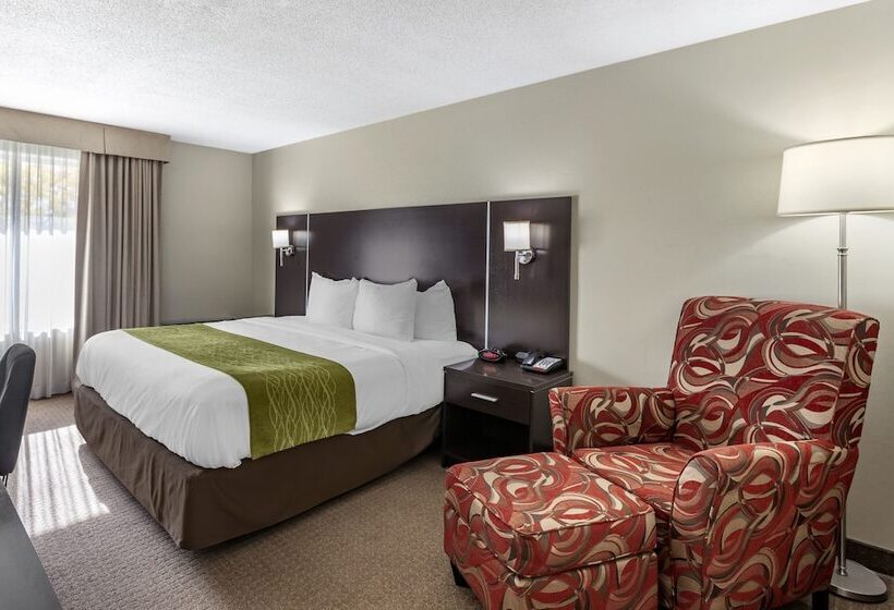 فندق Comfort Inn Airport West