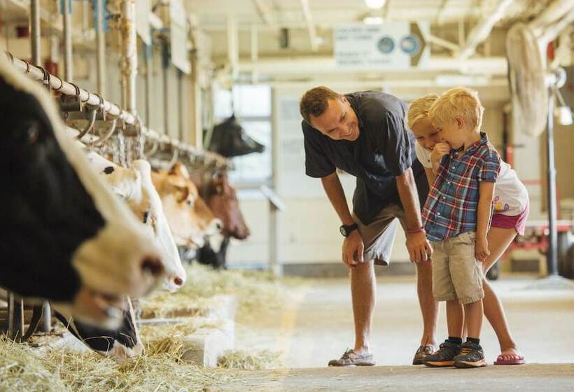 בית מלון כפרי Comfort Inn Gatineau