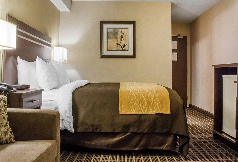 فندق Comfort Inn