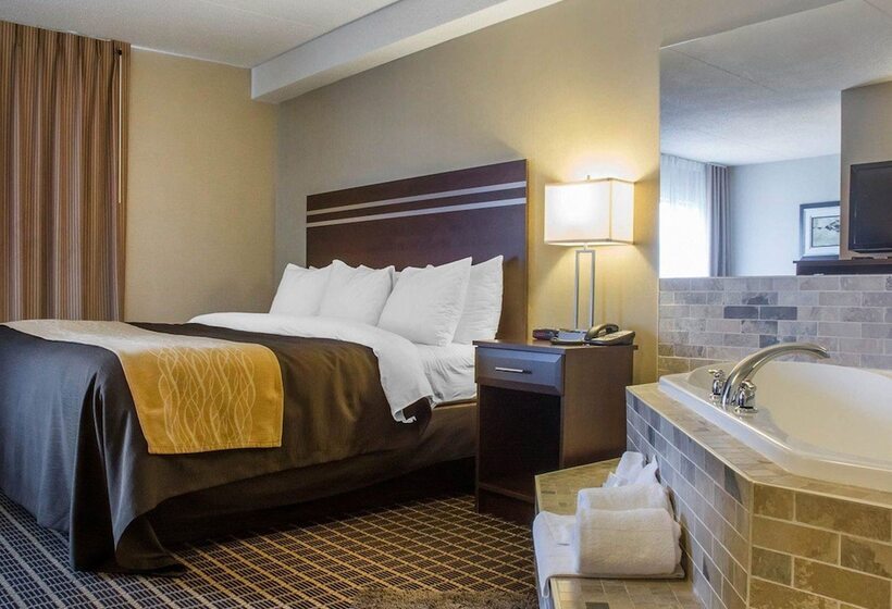 فندق Comfort Inn