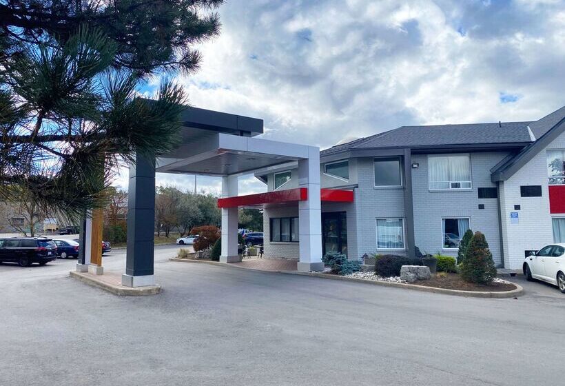 בית מלון כפרי Comfort Inn Hamilton