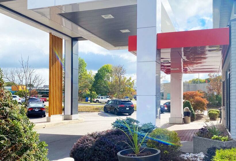 בית מלון כפרי Comfort Inn Hamilton