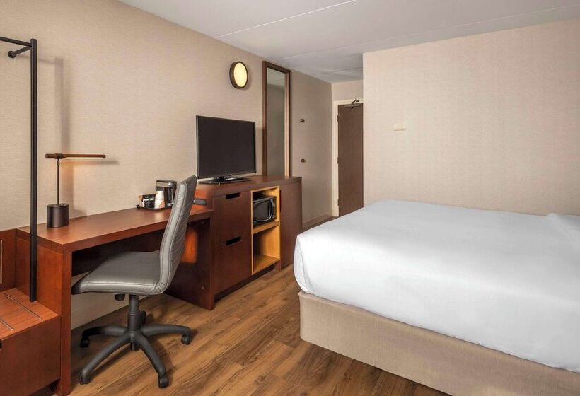 בית מלון כפרי Comfort Inn Hamilton