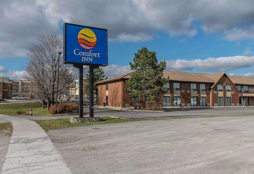 酒店 Comfort Inn Hwy. 401