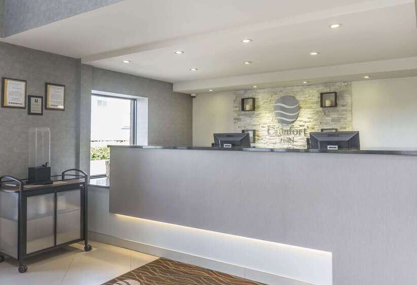 فندق Comfort Inn