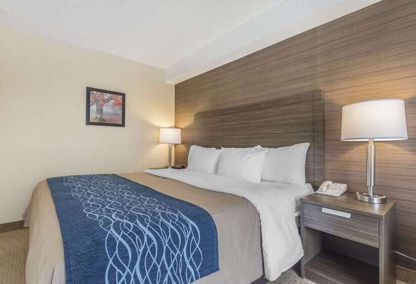 فندق Comfort Inn