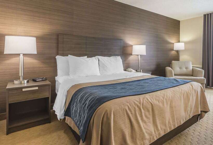 فندق Comfort Inn