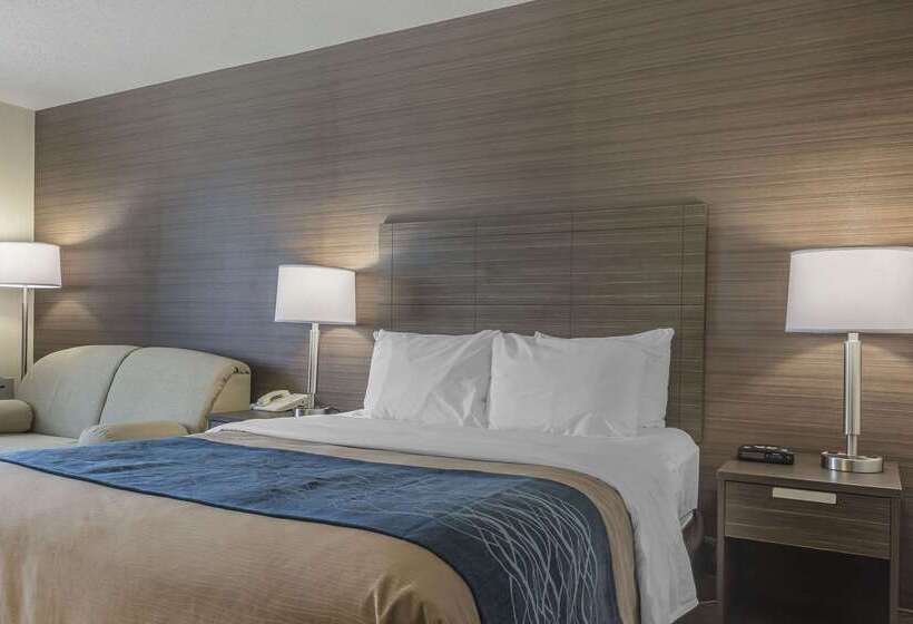 בית מלון כפרי Comfort Inn