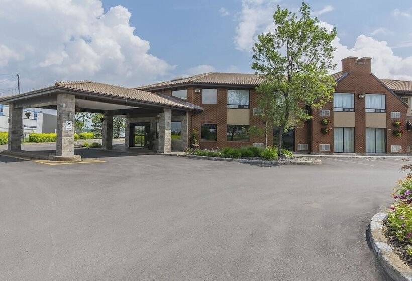 فندق Comfort Inn