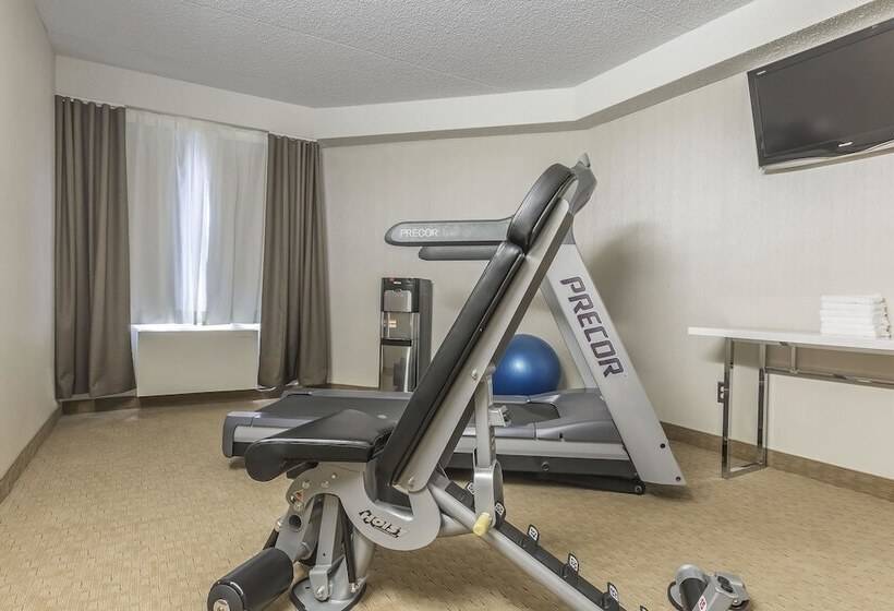 בית מלון כפרי Comfort Inn