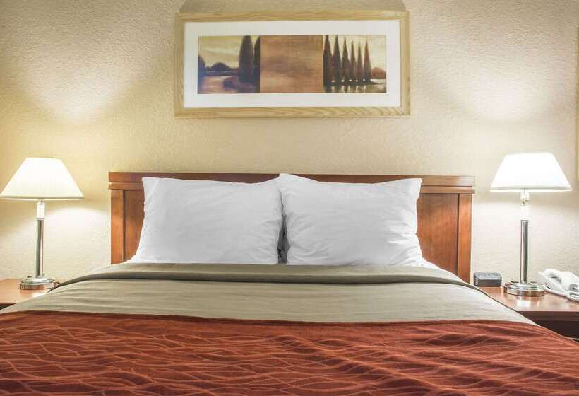 فندق Comfort Inn