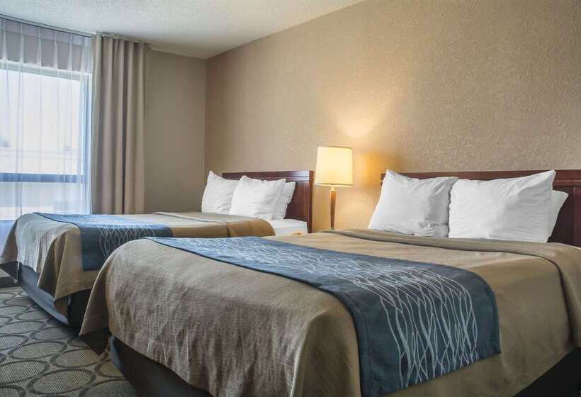 فندق Comfort Inn