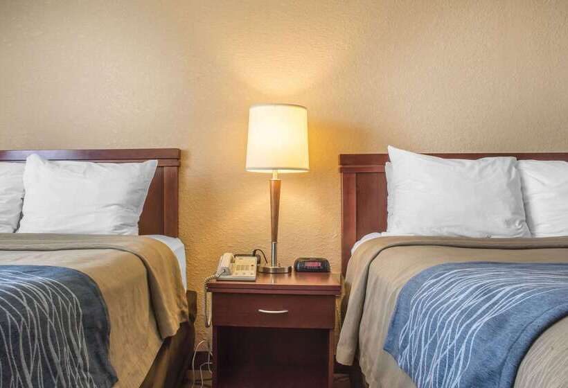 فندق Comfort Inn