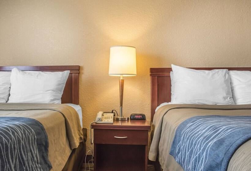 فندق Comfort Inn