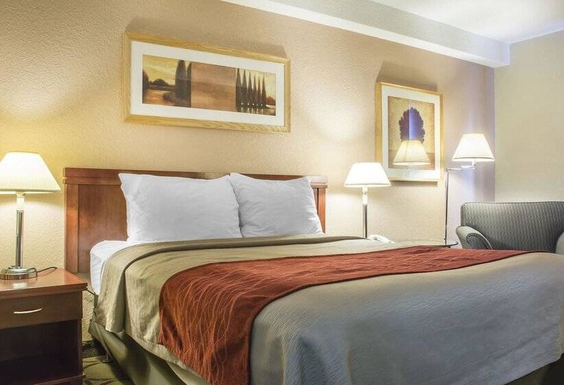 فندق Comfort Inn