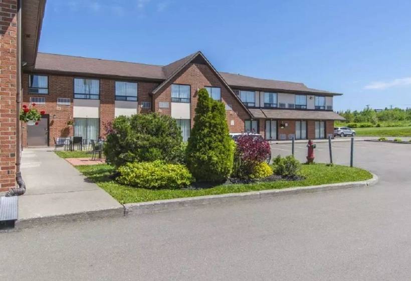 호텔 Comfort Inn Magnetic Hill