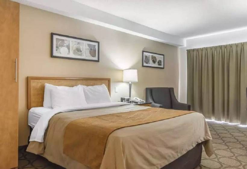 호텔 Comfort Inn Magnetic Hill