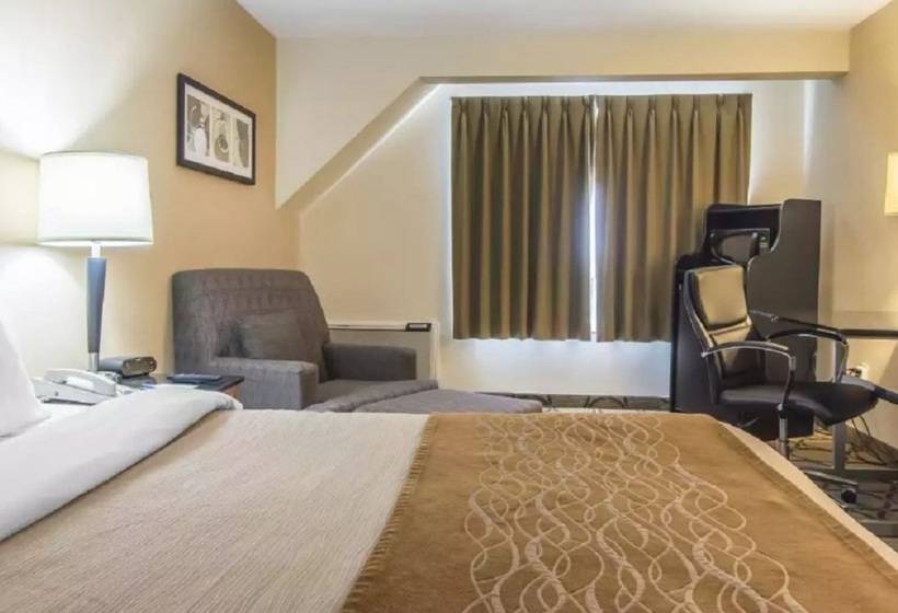 هتل Comfort Inn Magnetic Hill